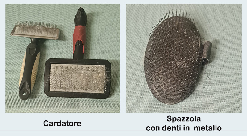 Spazzole per la cura del pelo del westie