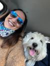 Immagine Westie
