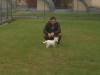 Immagine Westie