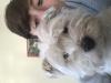 Immagine Westie