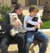 Immagine Westie