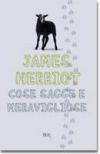 Immagine copertina libro