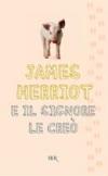 Immagine copertina libro