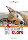 Immagine copertina libro
