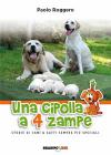 Immagine copertina libro