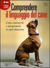 Immagine copertina libro