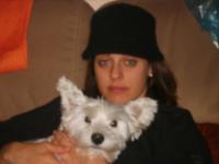 Immagine Westie