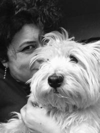 Immagine Westie