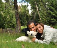 Immagine Westie