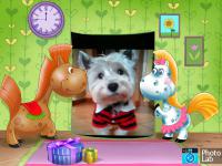 Immagine Westie
