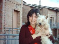 Immagine Westie