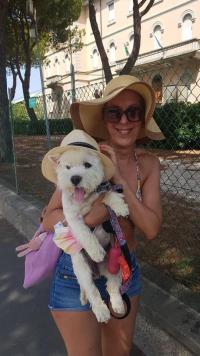 Immagine Westie