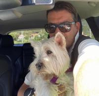 Immagine Westie