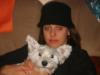 Immagine Westie