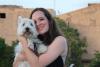 Immagine Westie