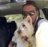 Immagine Westie