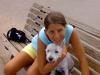 Immagine Westie