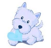 Immagine Westie