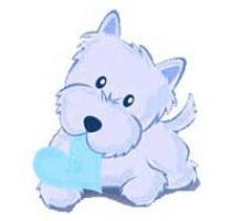 Immagine Westie