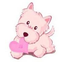 Immagine Westie