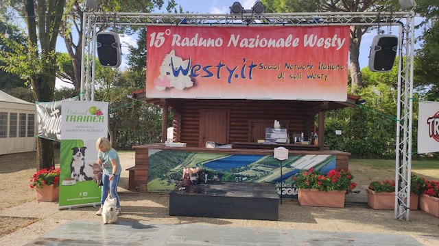 Foto del XV Raduno Nazionale Westy