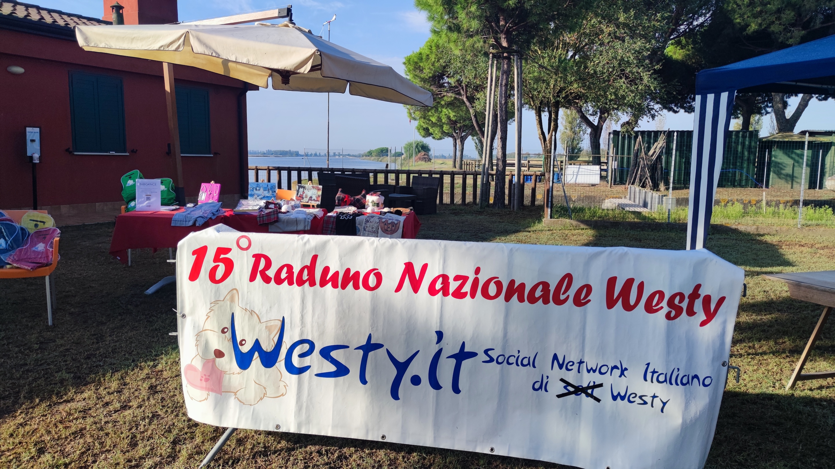 Foto del XV Raduno Nazionale Westy