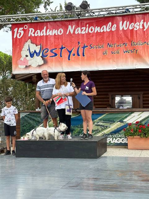 Foto del XV Raduno Nazionale Westy