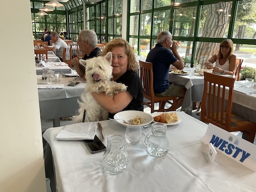 La Family di Westy Social Netwrork -  XVII Raduno Westy