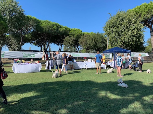 Foto del XVIII Raduno Nazionale Westy