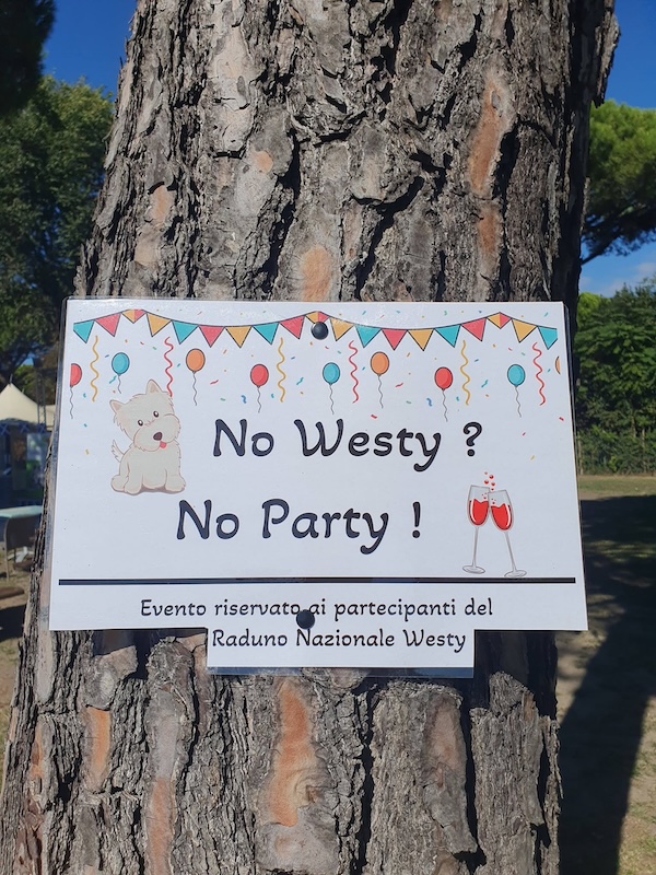 Foto del XVIII Raduno Nazionale Westy