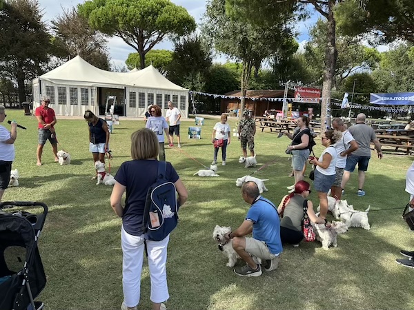 Foto del XVIII Raduno Nazionale Westy