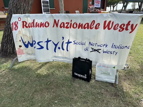 Foto del XVIII Raduno Nazionale Westy