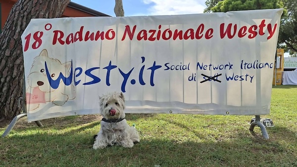 Foto del XVIII Raduno Nazionale Westy