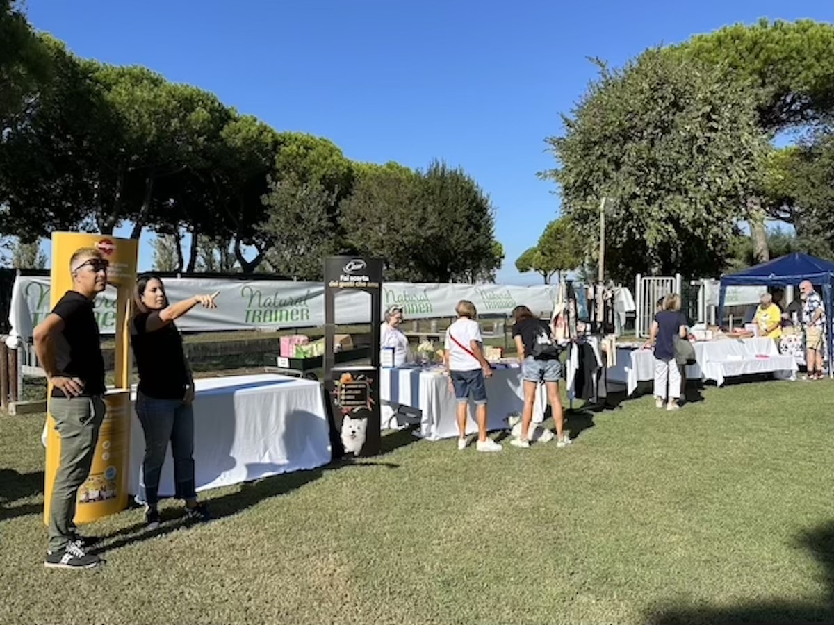 Foto del XVIII Raduno Nazionale Westy