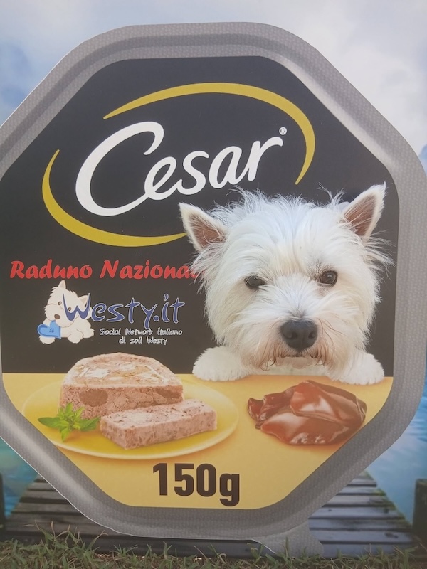 Westy-Zoo al raduno Nazionale Westy -  XVIII Raduno Westy