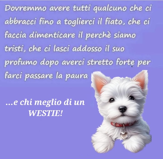 https://www.westy.it/varie/FRASI/GREG2025-08-15.jpg
