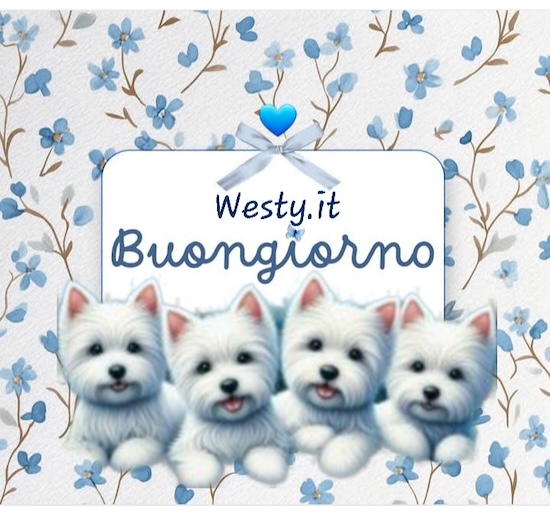 https://www.westy.it/varie/FRASI/GREG2025-08-22.jpg