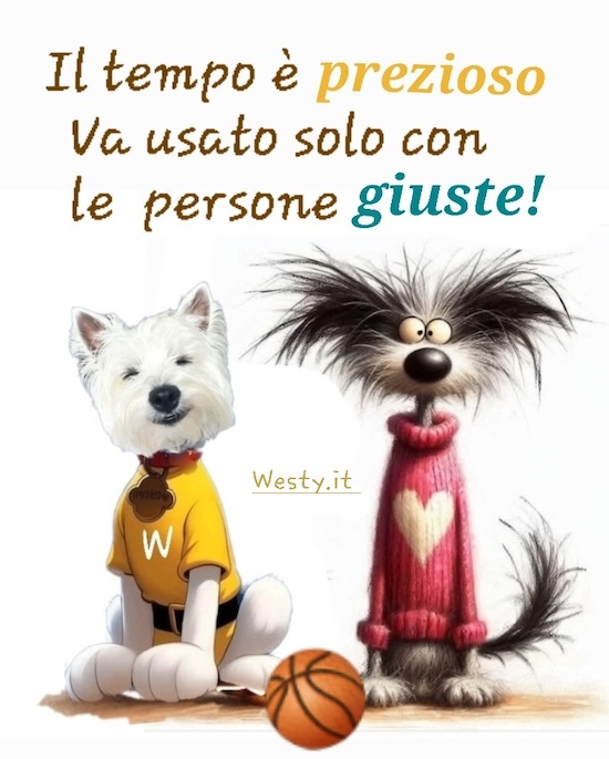 https://www.westy.it/varie/FRASI/GREG2025-08-24.jpg