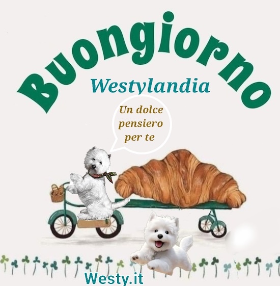 https://www.westy.it/varie/FRASI/GREG2025-08-28.jpg