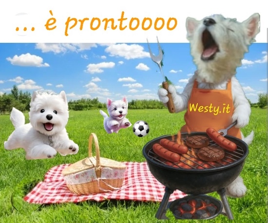 https://www.westy.it/varie/FRASI/GREG2025-09-21.jpg