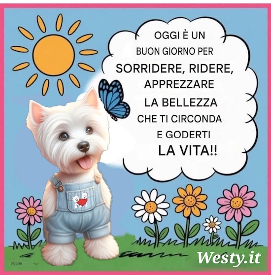 https://www.westy.it/varie/FRASI/GREG2025-09-28.jpg