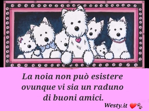 https://www.westy.it/varie/FRASI/GREG2025-10-13.jpg