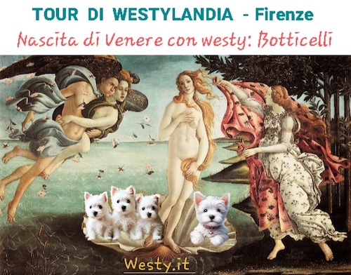 https://www.westy.it/varie/FRASI/GREG2025-11-11.jpg