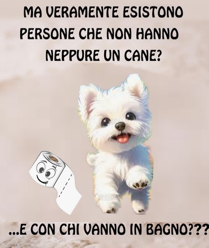 https://www.westy.it/varie/FRASI/GREG2026-03-05.jpg