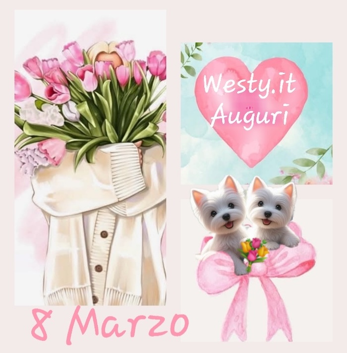 https://www.westy.it/varie/FRASI/GREG2026-03-08.jpg