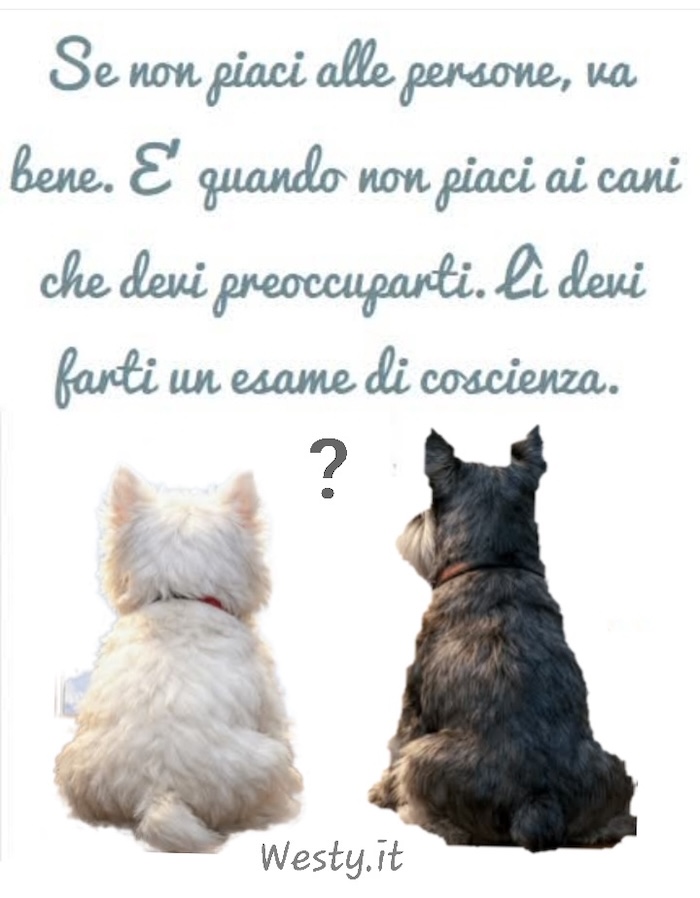 https://www.westy.it/varie/FRASI/GREG2026-03-10.jpg