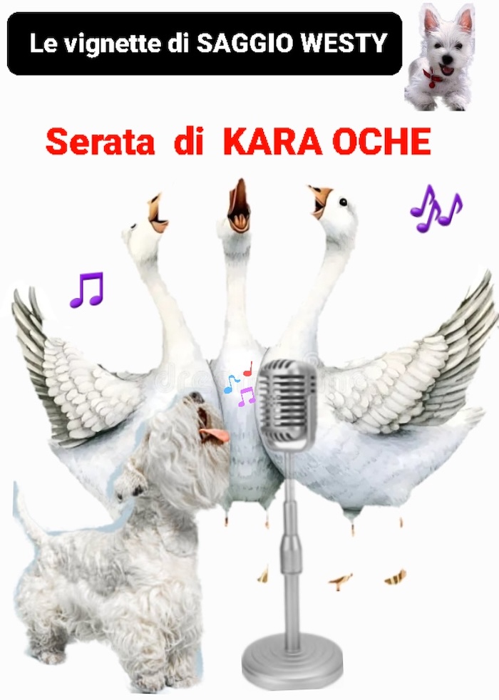 https://www.westy.it/varie/FRASI/GREG2026-03-14.jpg