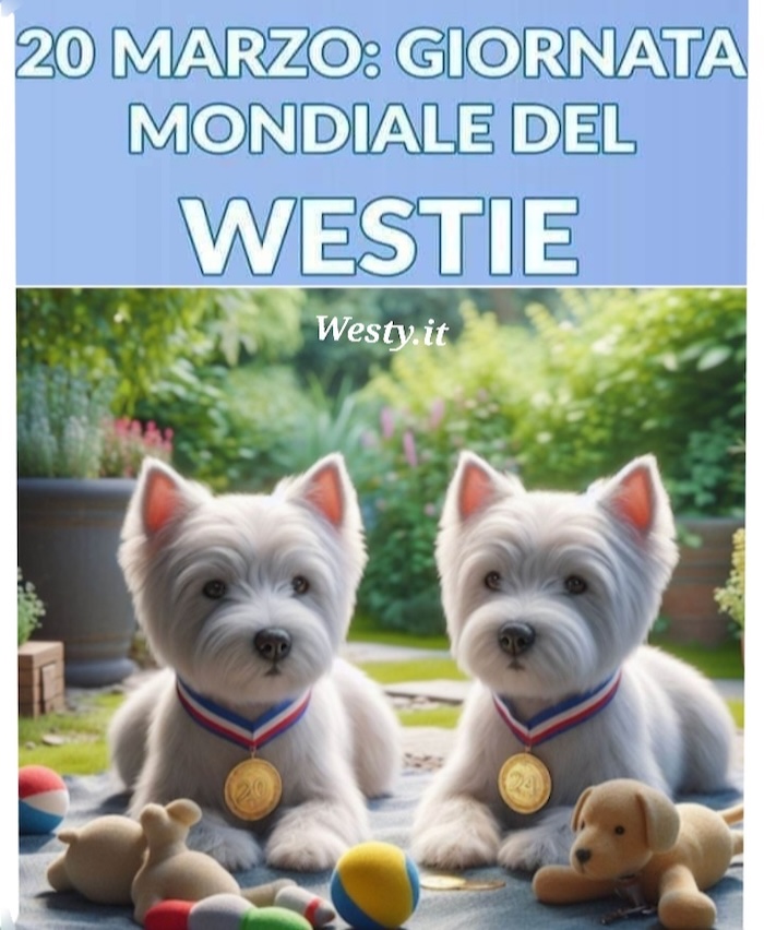 https://www.westy.it/varie/FRASI/GREG2026-03-20.jpg