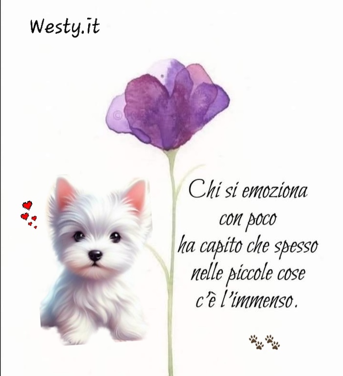 https://www.westy.it/varie/FRASI/GREG2026-03-29.jpg