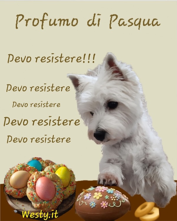 https://www.westy.it/varie/FRASI/GREG2026-04-02.jpg